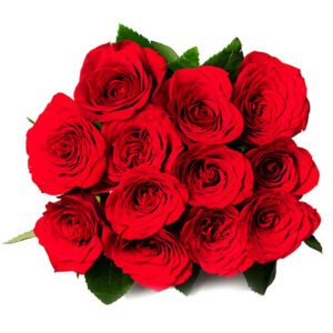 res rose bunch
