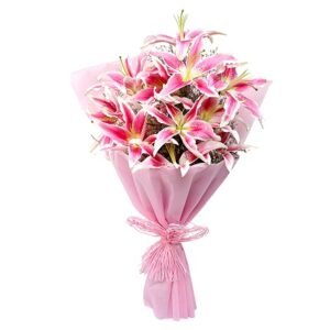6 Pink Asiatic Lilies