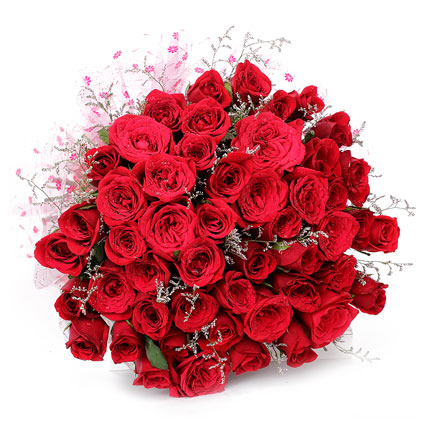 50 Red Roses hand bunch