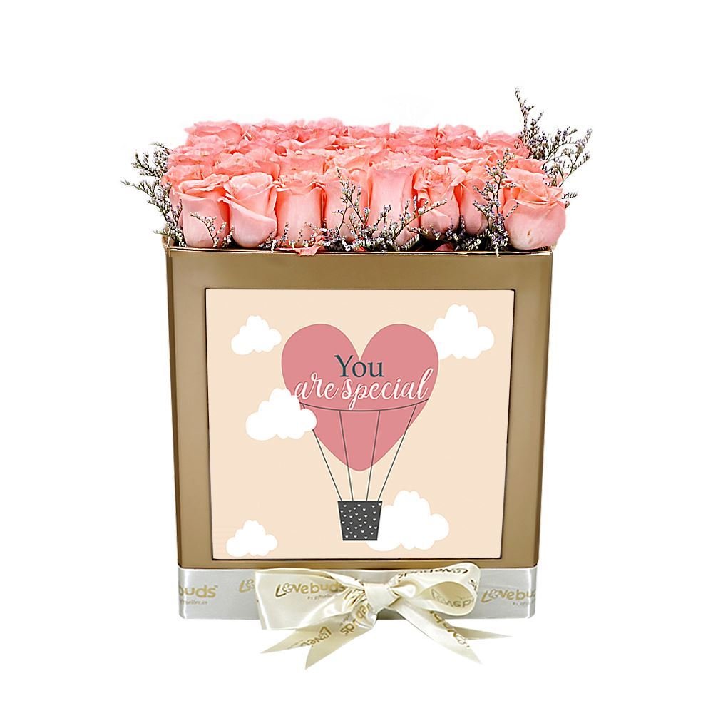 0002642_you-are-special-box-with-pink-roses.jpeg
