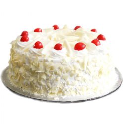 White Forest Fantasy