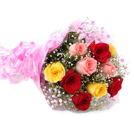 colourful roses