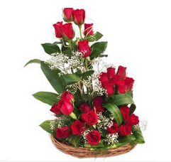 25 Red Rose arranged in a Basket