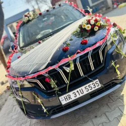 Wedding Car Decoration