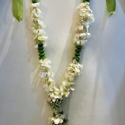 White Crchid Jaimala